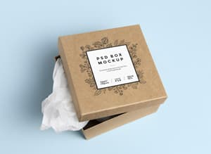 Cardboard Box PSD MockUp