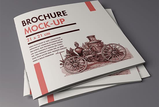 Folder / Brochure mockup