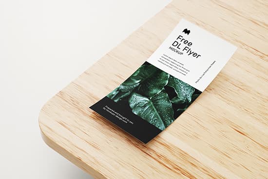 Free DL flyer mockup